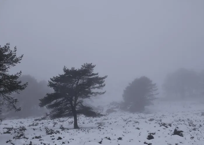 A Caniza Апартаменты